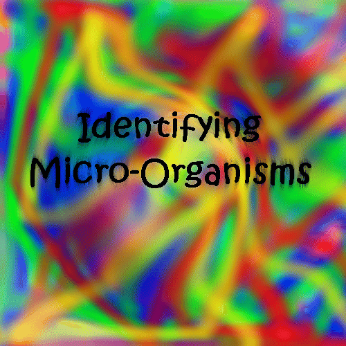 Identifying Micro-Organisms