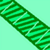 Spirogyra